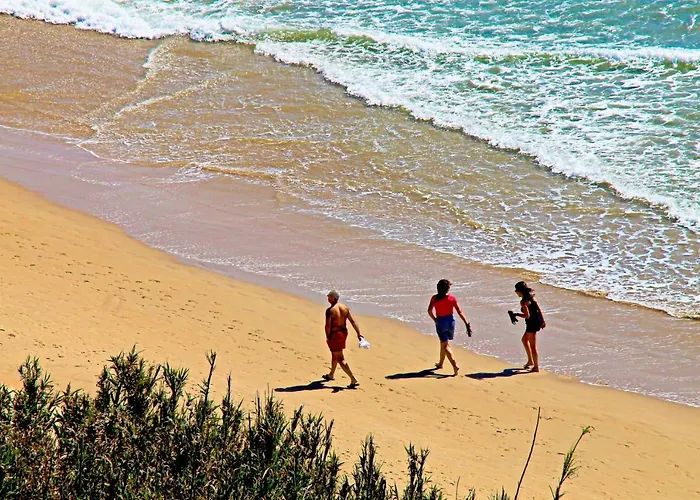 Apartamento Cervantes Conil De La Frontera